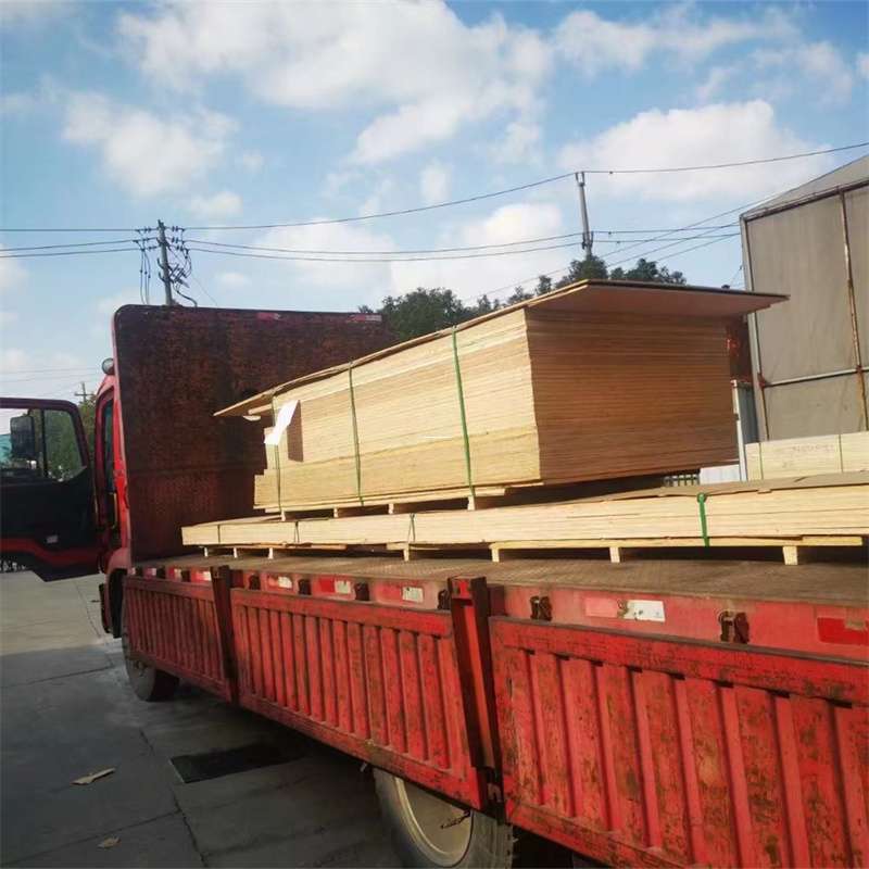 福建宁德屏南县至塔城货运专线，一站式物流服务助您成功